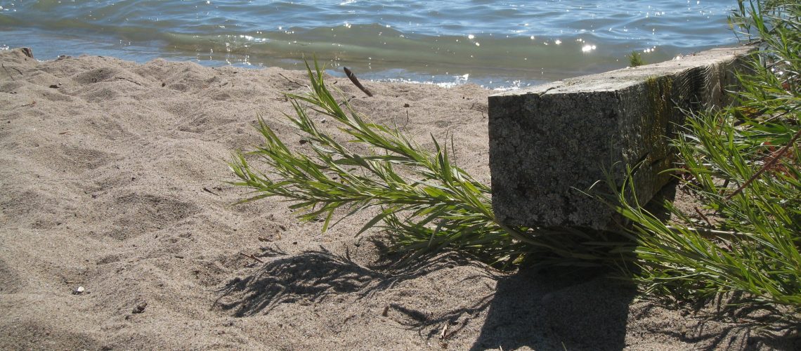 Natur 5 - Foto Katharina Arnesen